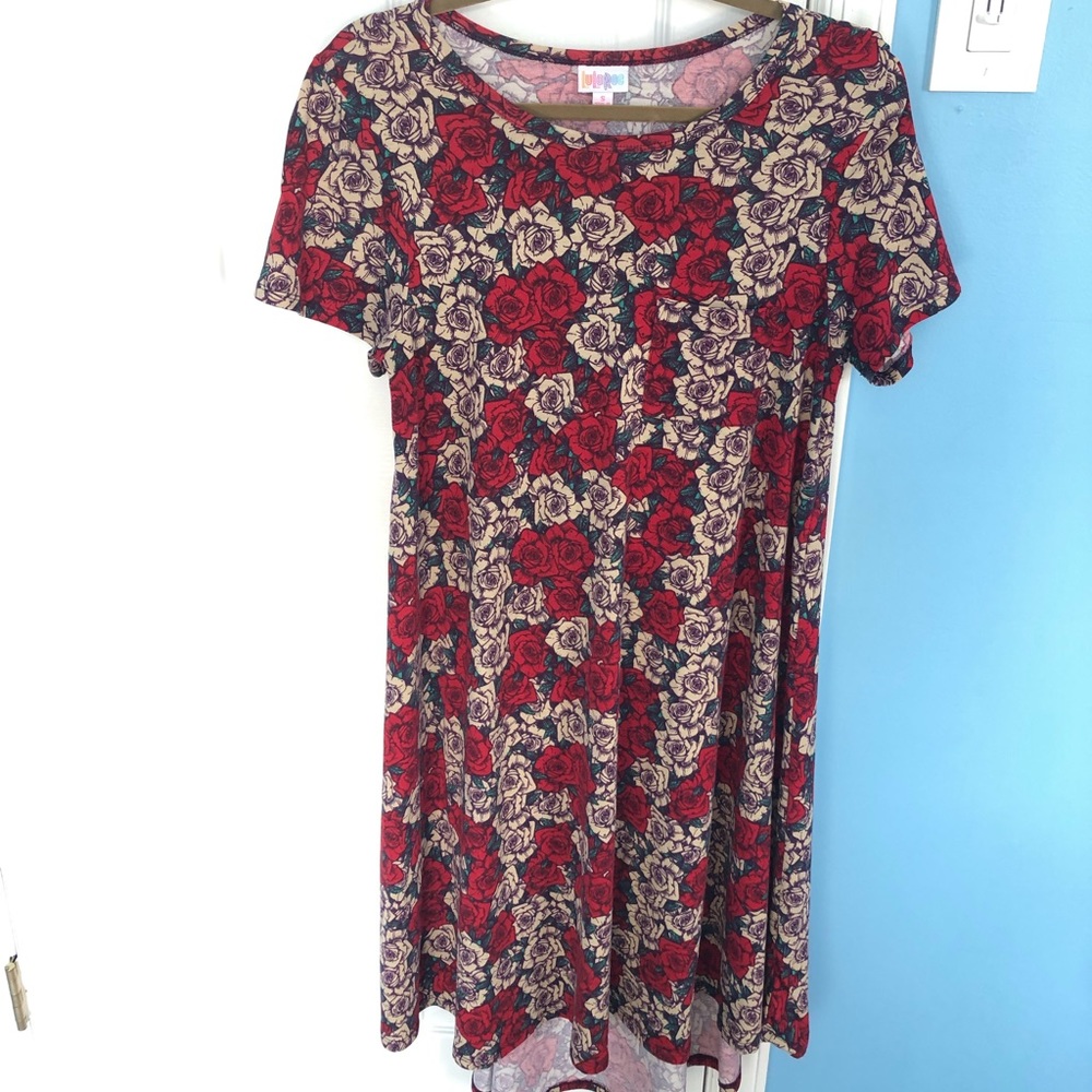 Small LulaRoe Carly dress